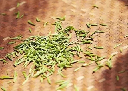 企业网站模板《聚鑫汇pg》（五）